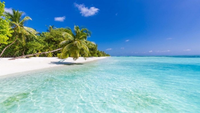 微软发布Windows 10 Beach Time 4K主题包 享受沙滩时光