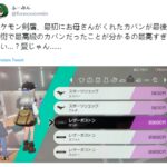 《宝可梦：剑/盾》女主妈妈初期给的包包竟是高级货